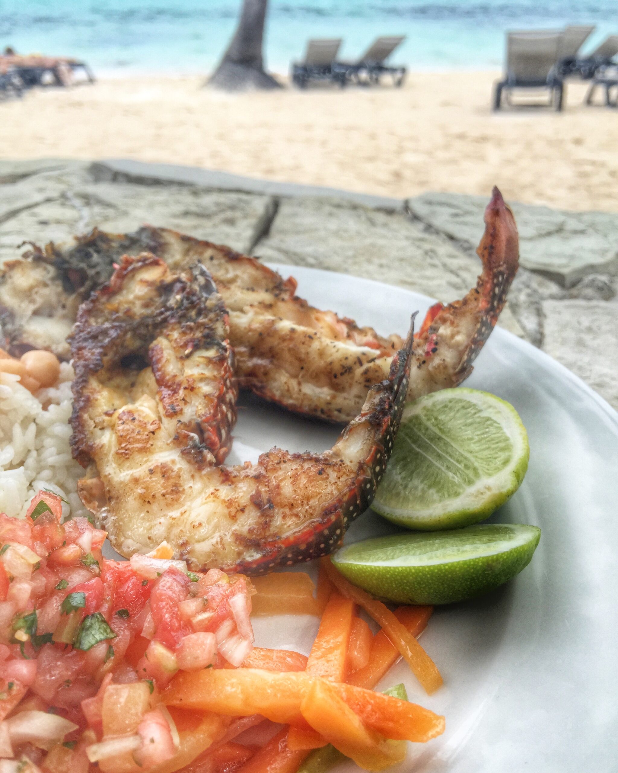 Dominican Cuisine Rediscovered