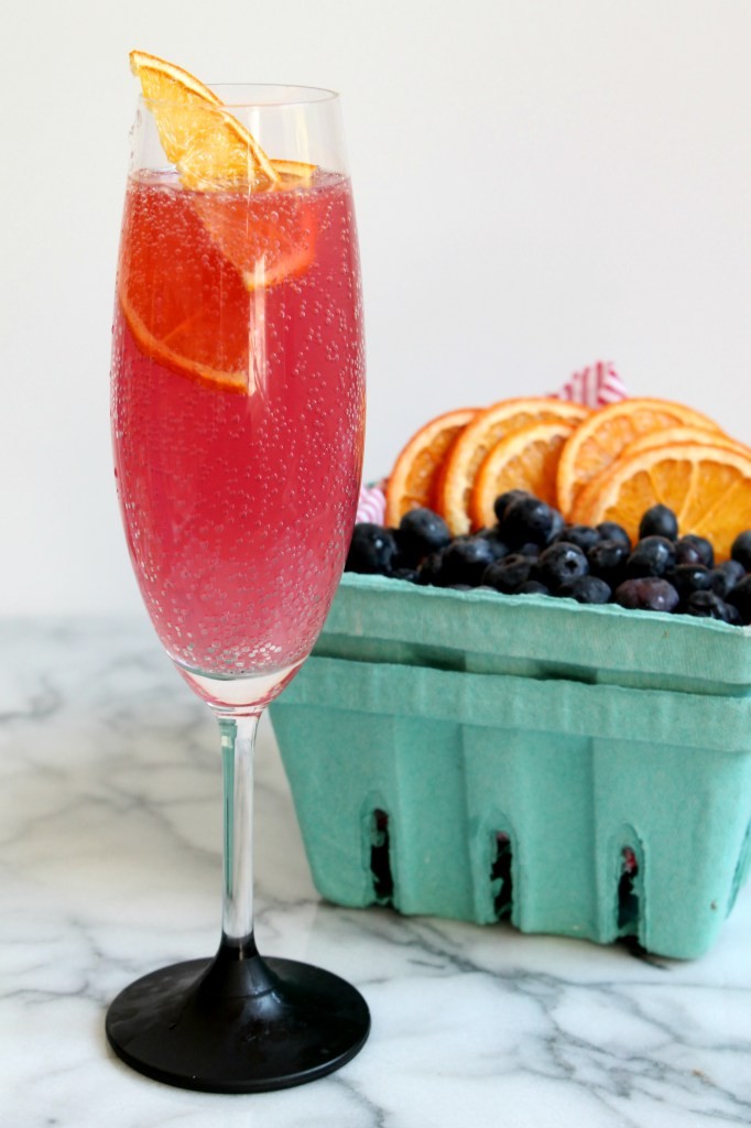 citrus-hibiscus-fizz