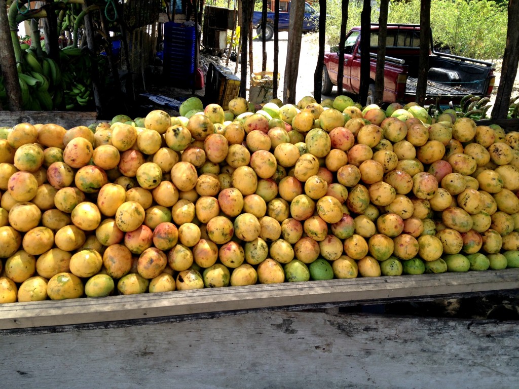 Dominican Republic 02