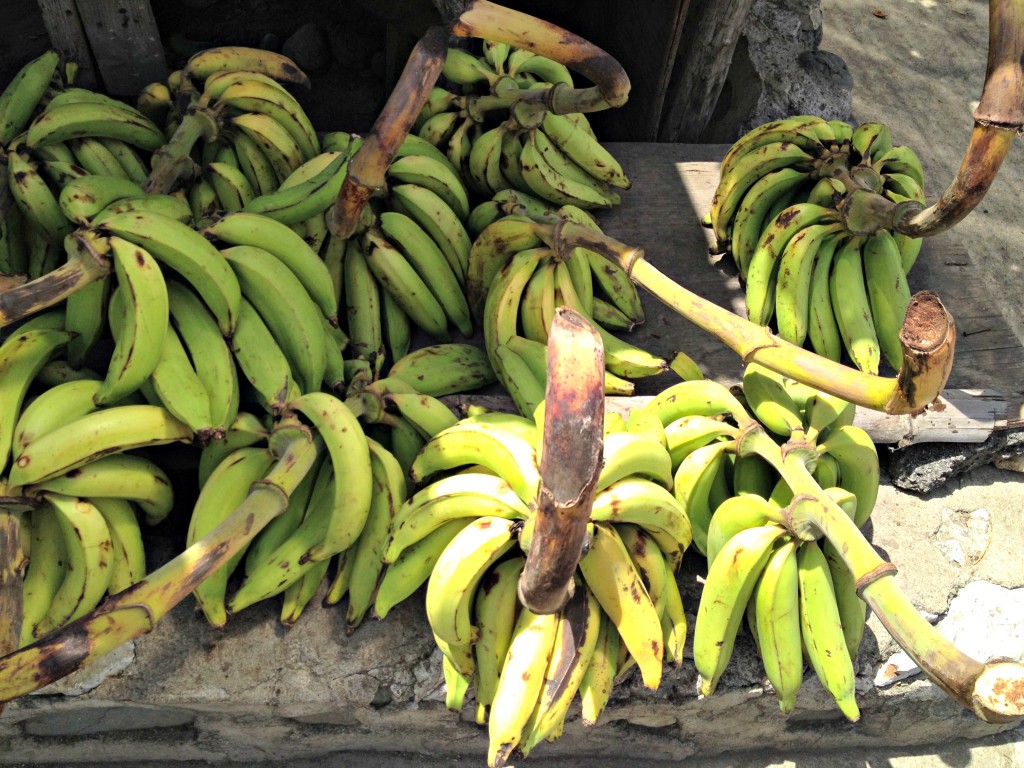Dominican Republic 03