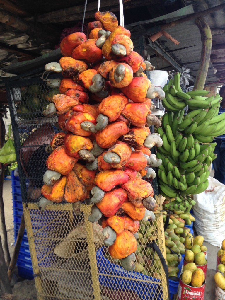 Dominican Republic 05