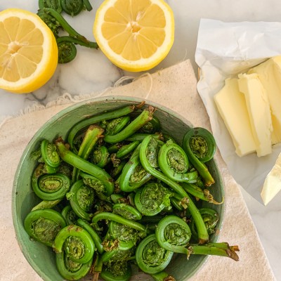 Fiddle Head RECIPE 1