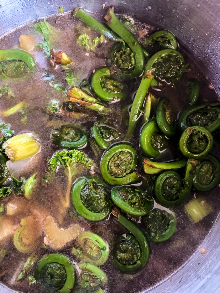 Cream of Fiddlehead Soup