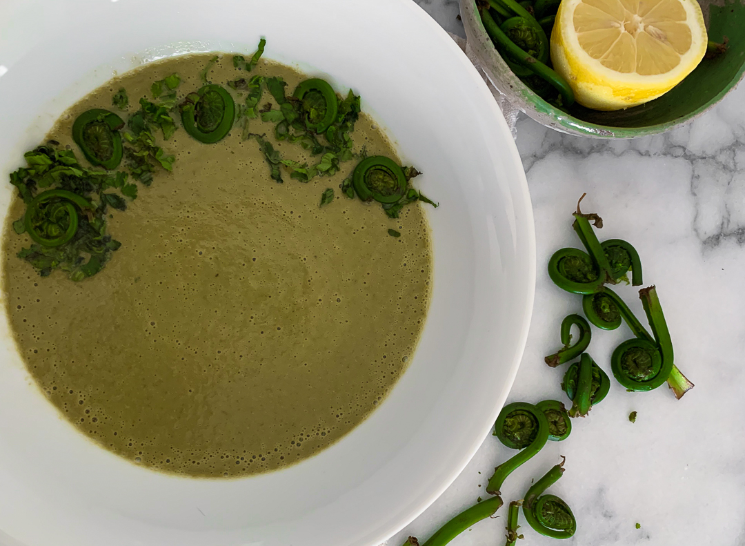Cream of Fiddlehead Soup