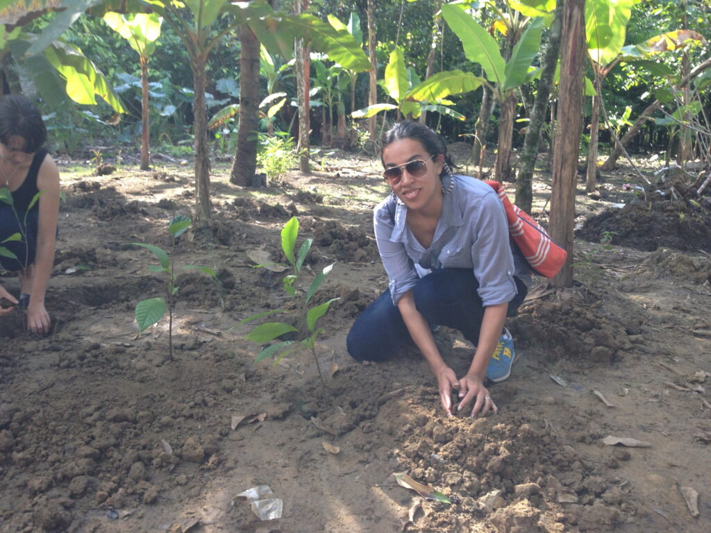 Dominican Series: Organic Cacao Farm