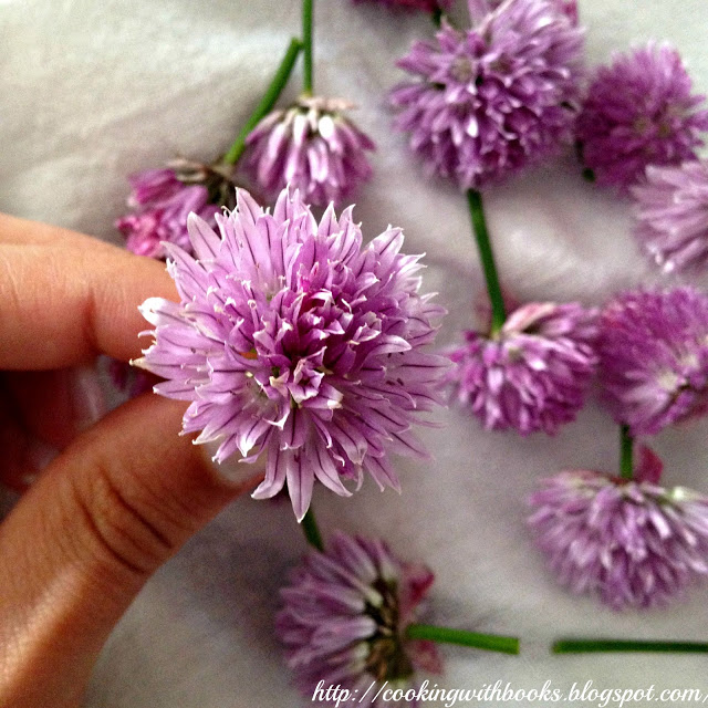 Learn how to make Chive Blossom Vinegar - A delicious, fragrant vinegar that can be used to make salad dressings or for pickling/preserving.