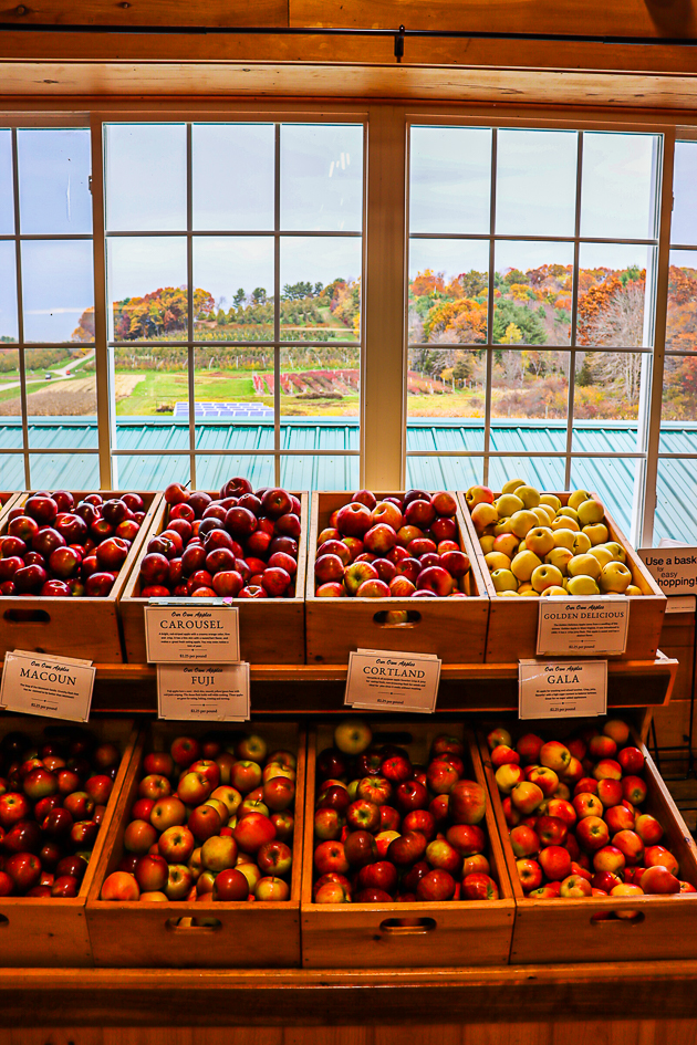 North of Boston Fall 2022 Town Cider Hill Farms 101