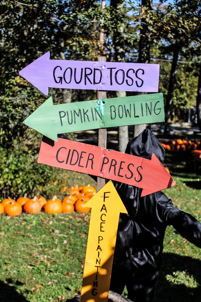 Pumpkin Festival 2019 3