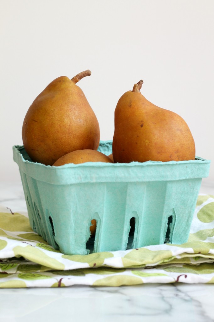 Spicy Grilled Pear Ketchup 3
