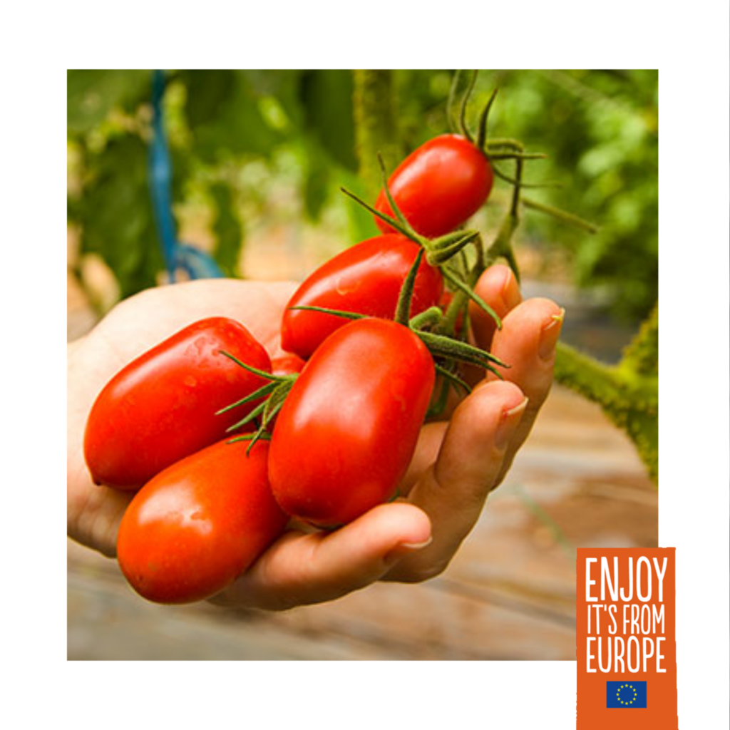 SAN MARZANO GUGNO 4